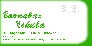 barnabas nikula business card